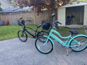 Electric Assist Bikes